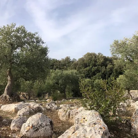 Il Piccolo Saraceno Holiday home *